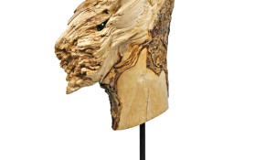 La mitología imaginaria creada por ...