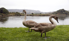 Cantabria activa el protocolo de ...