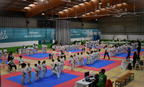 Más de 400 karatecas participaron en ...