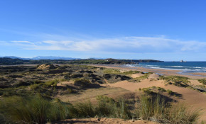 La Asociación Cultural Bosques de ...