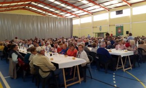 Cerca de 500 vecinos de Piélagos ...