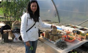 Abierto el plazo para solicitar uno de ...