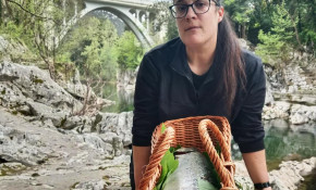 Piélagos subastará mañana, domingo, ...