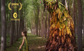 El Ayuntamiento proyectará este ...