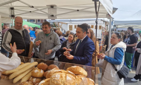 Productores y artesanos participan este ...