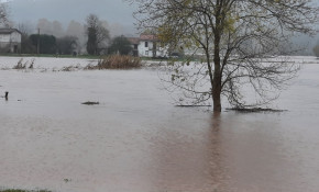 El Gobierno regional entrenará mañana ...