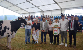 Cudaña Arenetes Dallas, gran ...