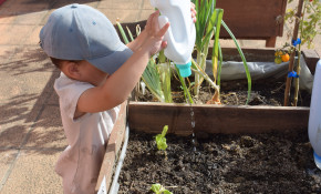 Piélagos abrirá, del 1 al 20 de ...