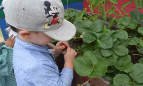 Abierto, hasta 20 de julio, el plazo ...