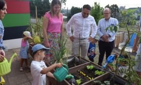 Comunicado oficial del Ayuntamiento de ...