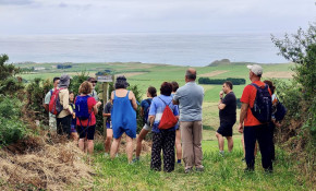 Arrancan con éxito de público las ...