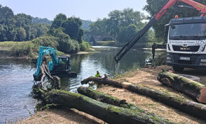 Piélagos retira troncos de gran ...