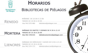 Las bibliotecas municipales de ...