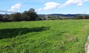 Adjudicados a la empresa Arruti ...