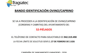 Abierto hasta el 27 de febrero el plazo ...