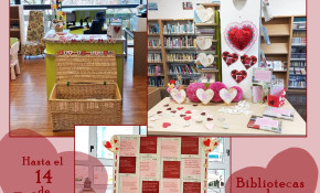 Las Bibliotecas municipales de ...