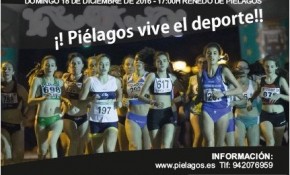 El Ayuntamiento de Piélagos celebra ...