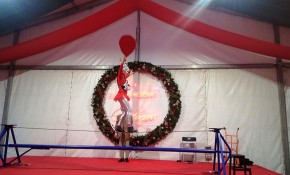 El Mercado Navideño de Piélagos, ...