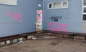 Piélagos denuncia nuevos actos ...