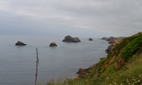 Más de 2.600 personas visitaron el ...