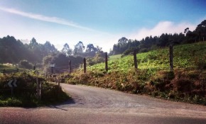 El Ayuntamiento de Piélagos adquiere ...