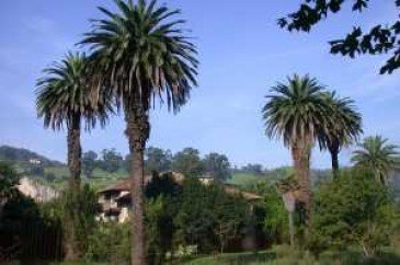 Palacio de los Condes de Mortera