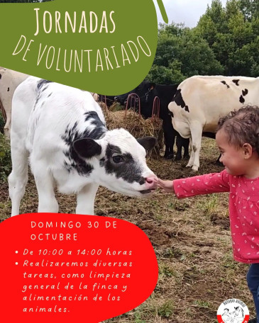 Jornada voluntariado animal - Oruña de ...