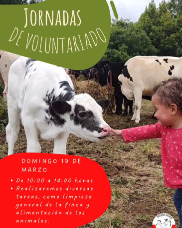 Jornada de voluntariado animal - Oruña ...