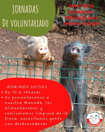 Jornada voluntariado animal - Refugio ...