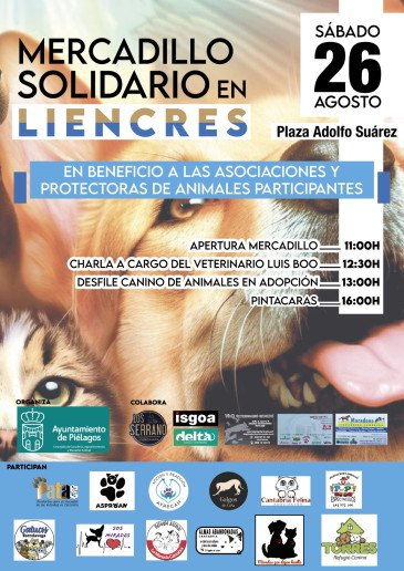 Mercadillo solidario a beneficio de 11 ...
