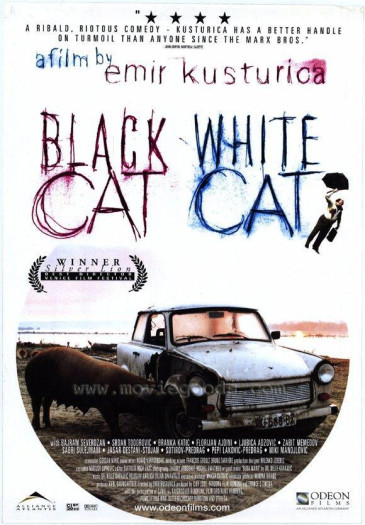Proyección 'Gato negro, gato blanco' - ...