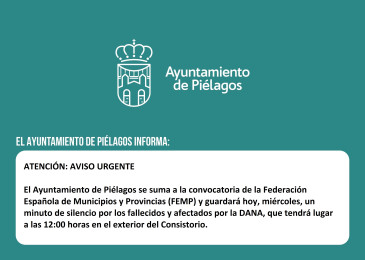 Convocatoria urgente minuto silencio ...