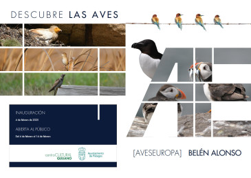 Exposición Aves Europa - Centro ...