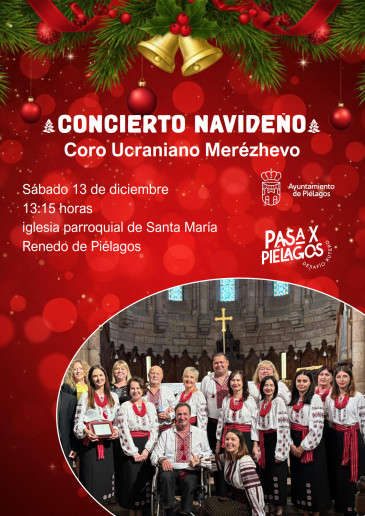 Concierto de Navidad  - Iglesia Santa ...