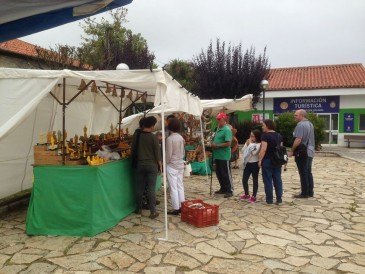 Jornadas ecológicas y culturas ...