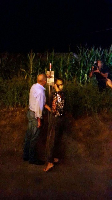 Chupinazo fiestas Virgen Valencia 2017