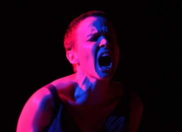 Clausura IV Muestra internacional de ...