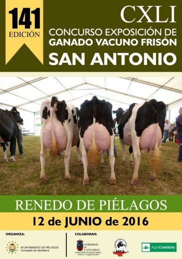 Concurso-exposición de ganado Vacuno ...