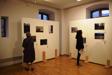 El próximo viernes finalizará la ...