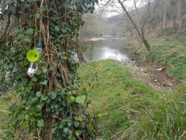 El Ayuntamiento de Piélagos ...