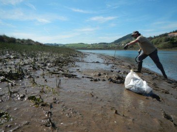 El Estuario del Pas y las Dunas de ...