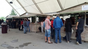La Feria de Día de las Fiestas de San ...