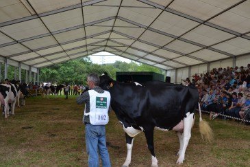 Renedo acoge este domingo una nueva ...
