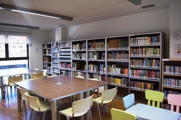 Las bibliotecas municipales y los ...