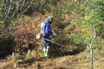 Concluyen los trabajos de ...