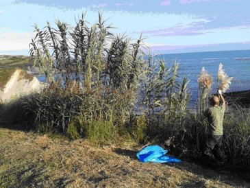 El Ayuntamiento de Piélagos pondrá en ...