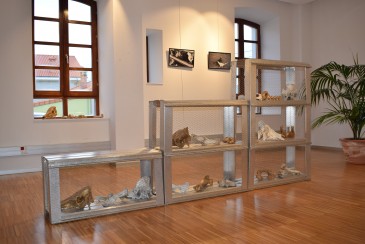 La exposición de la artista e ...