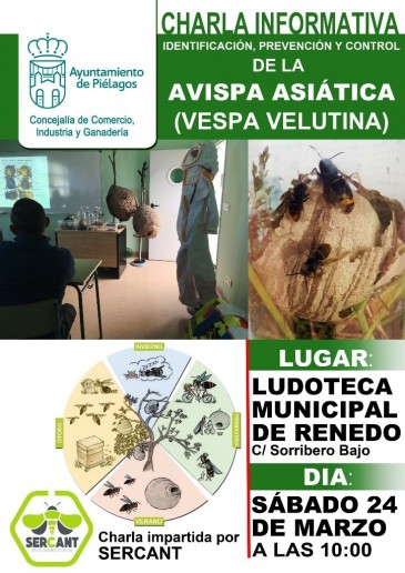 Piélagos celebrará este sábado una ...