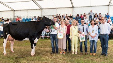 Más de un centenar de reses de 26 ...