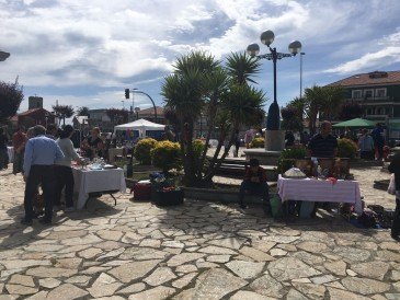 El próximo miércoles finalizará el ...